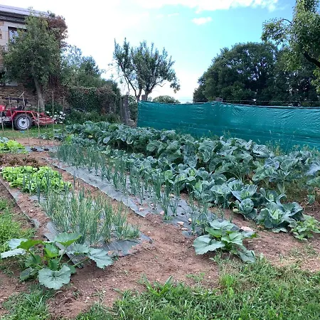 Casa Ferreiro - Campo Da Cruz - Lugo