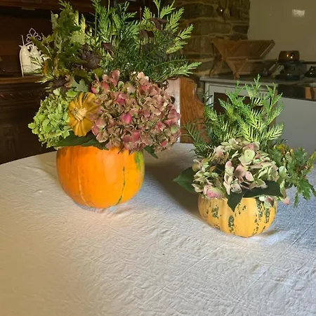 Casa Ferreiro - Campo Da Cruz - Lugo Bed & Breakfast *