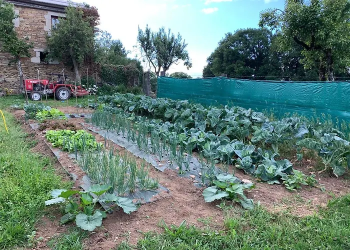Casa Ferreiro - Campo Da Cruz - Lugo