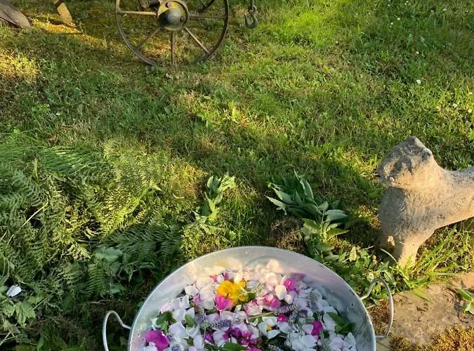 Casa Ferreiro - Campo Da Cruz - Lugo B&B