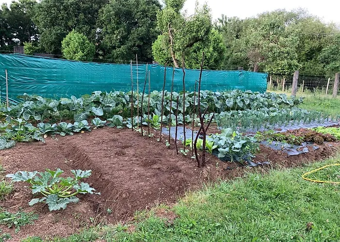 Casa Ferreiro - Campo Da Cruz - Lugo Baltar (Lugo)