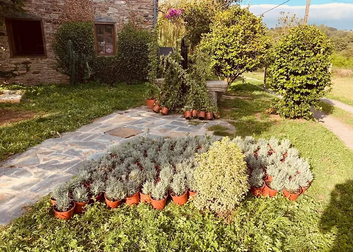 Casa Ferreiro - Campo Da Cruz - Lugo * Baltar (Lugo)