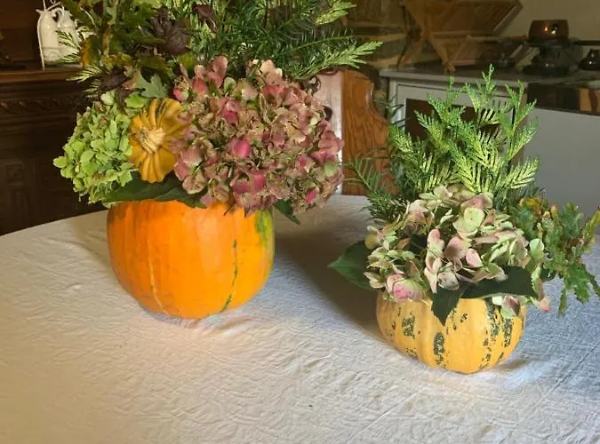 Casa Ferreiro - Campo Da Cruz - Lugo Bed & Breakfast *